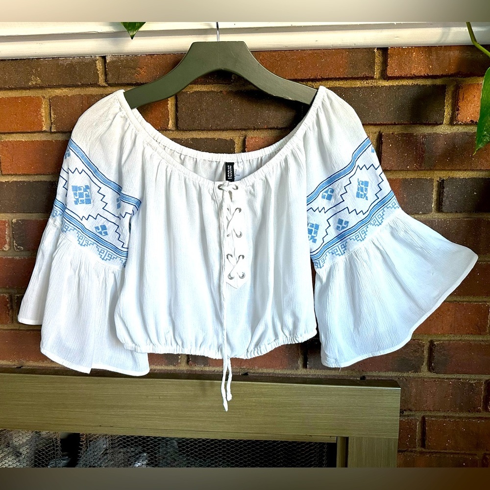 Divided White Crop Top with Blue Embroidered Sleeves